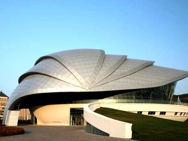 河西贝壳网架工程